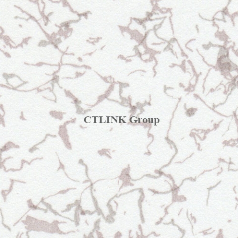 Sàn nâng kỹ thuật đục lỗ thông gió FS-PER1000